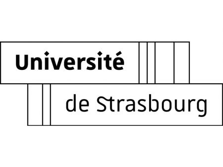 University of Strasbourg 